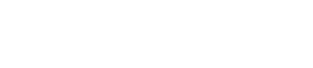 Swarnasky Logo White